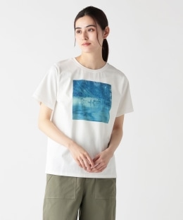 Ｔシャツ/Lake/岡崎直哉